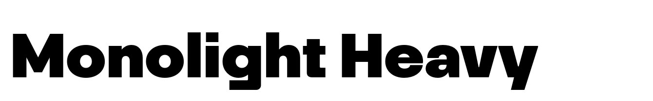 Monolight Heavy